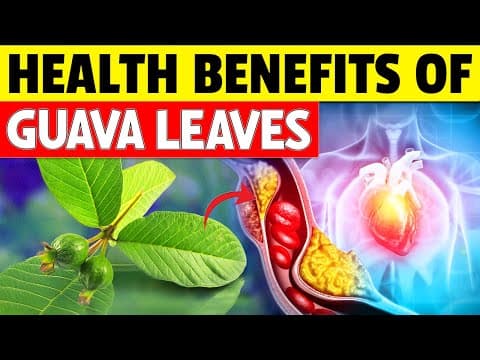 15 Amazing Health Benefits of GUAVA LEAVES You're Missing Out