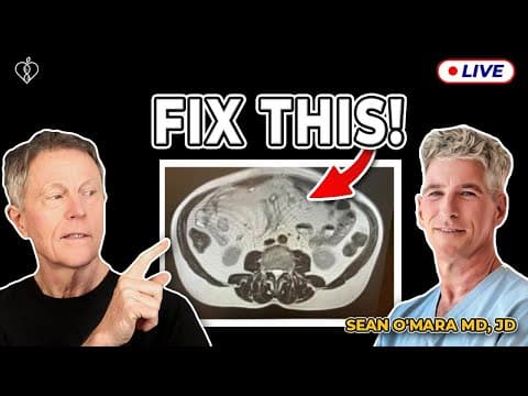 Dr Sean O'Mara: Do This To Reverse Visceral Fat