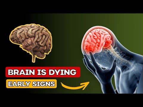 Is Your Brain BEGGING for Help? Watch Out for These 12 Signs