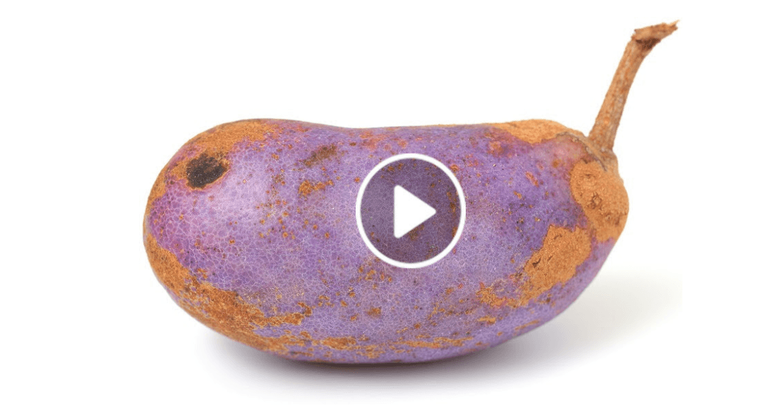 Take This 1 Vitamin and Watch Your Dark Spots Fade Away Instantly